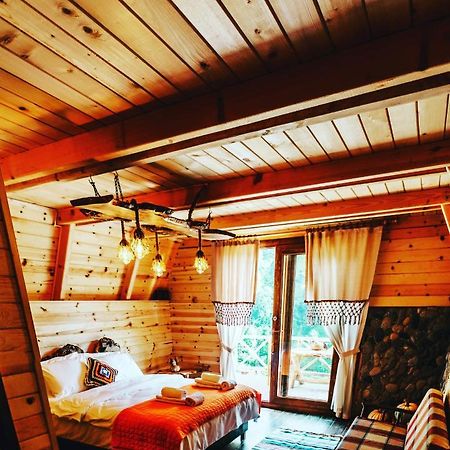 Purkinora Bungalov Çamlıhemşin Exteriér fotografie