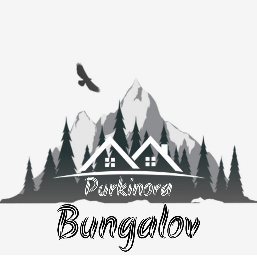 Purkinora Bungalov Çamlıhemşin Exteriér fotografie