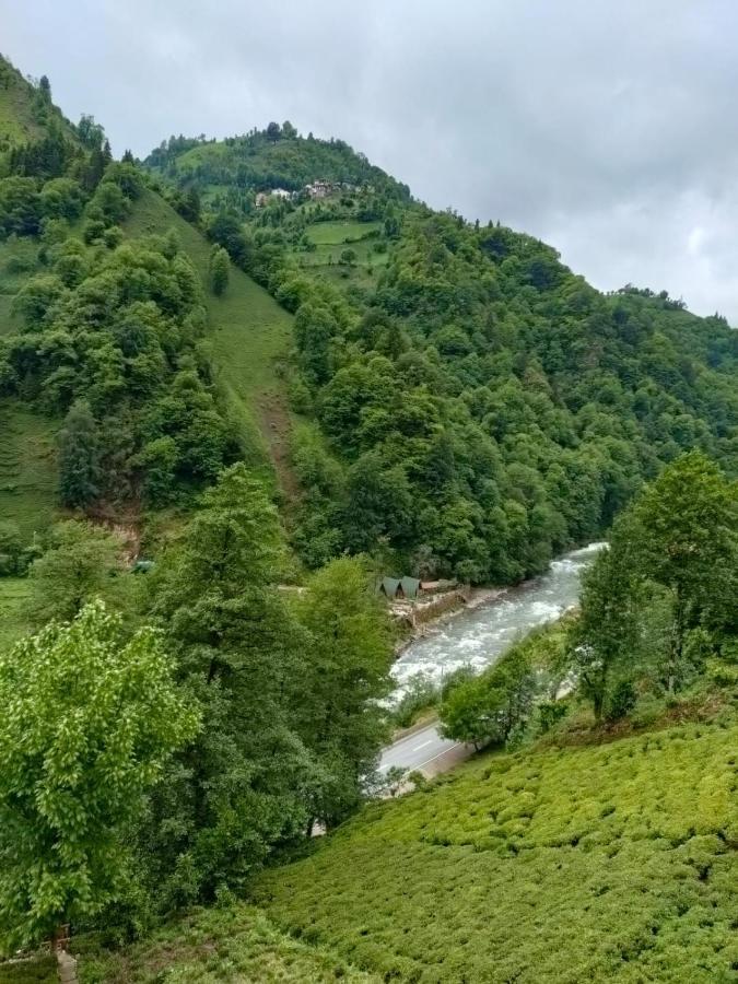 Purkinora Bungalov Çamlıhemşin Exteriér fotografie