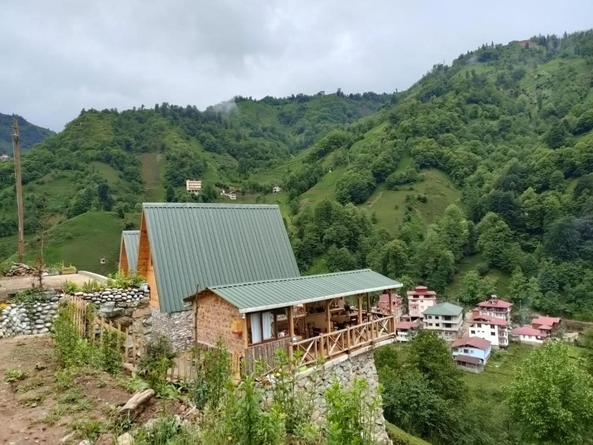 Purkinora Bungalov Çamlıhemşin Exteriér fotografie