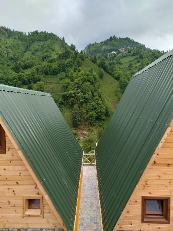 Purkinora Bungalov Çamlıhemşin Exteriér fotografie
