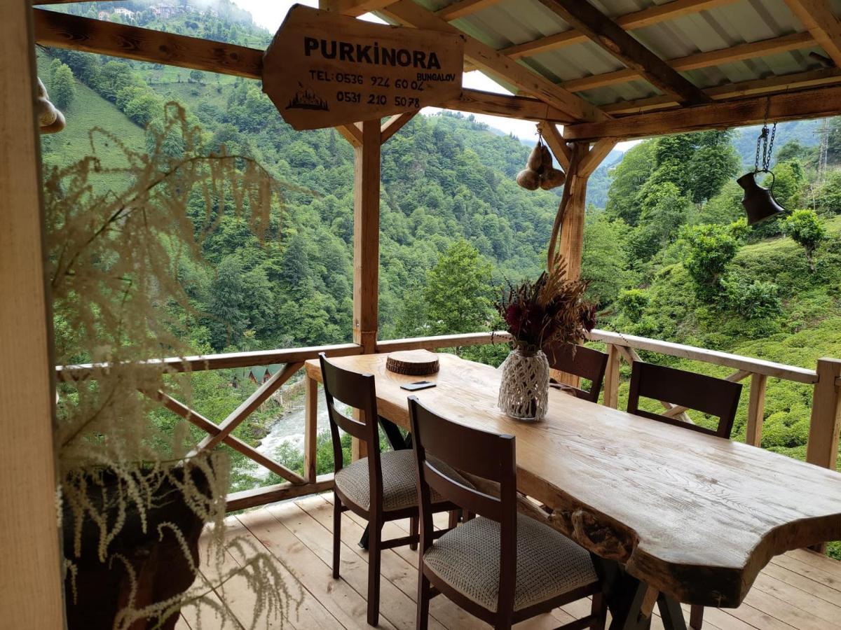 Purkinora Bungalov Çamlıhemşin Exteriér fotografie