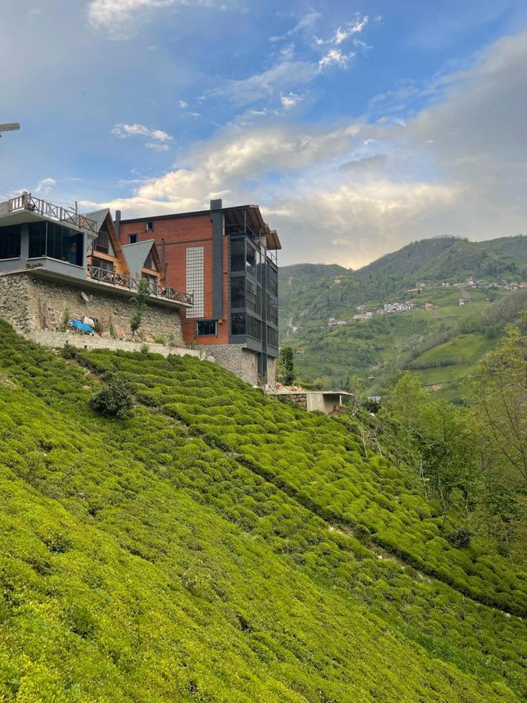 Purkinora Bungalov Çamlıhemşin Exteriér fotografie