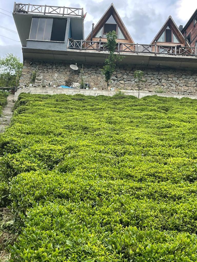 Purkinora Bungalov Çamlıhemşin Exteriér fotografie