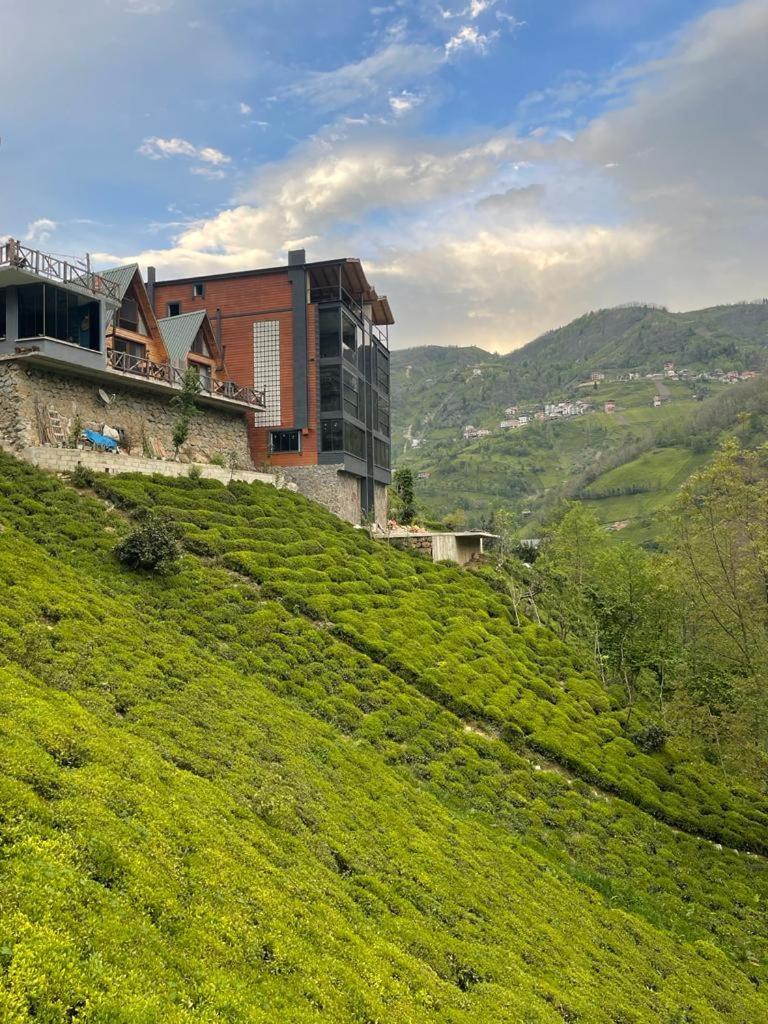 Purkinora Bungalov Çamlıhemşin Exteriér fotografie